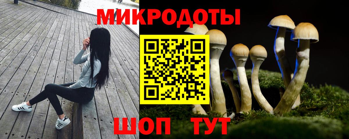 Псилоцибиновые грибы мицелий  Вход с VPN  Орехово-Зуево  цены   Галлюциногенные грибы Psilocybine cubensis 